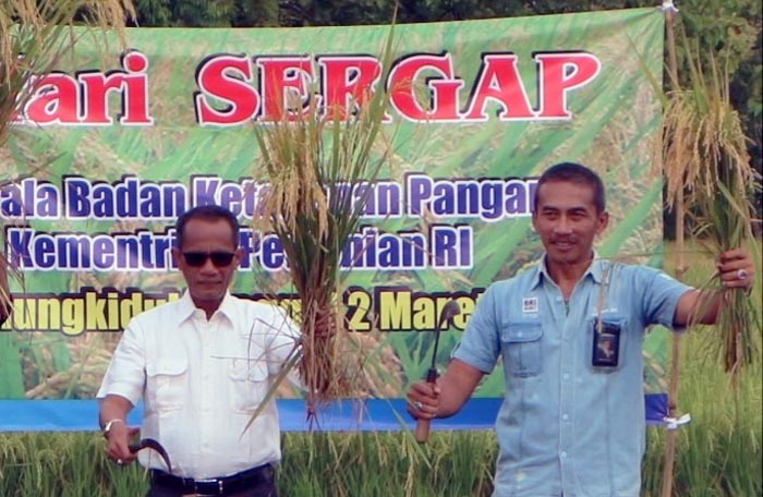 Kepala BKP Kementan Dorong Percepatan Sergap Nasional